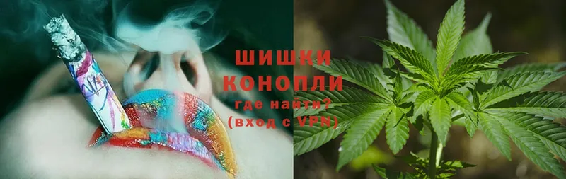 Шишки марихуана THC 21%  купить закладку  Новозыбков 